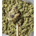 Gelato Cake Small